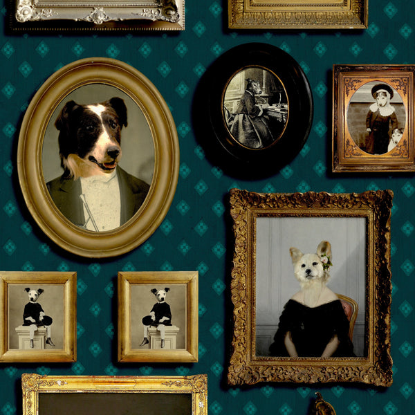 Top Dog | The Graduate Collection
