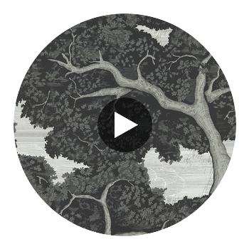 Eternal Oak Ebony/First Light | Harlequin UK Circular Swatch | Harlequin