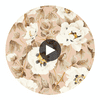 Florent Positano/Maple/Graphite | Harlequin UK Circular Swatch | Harlequin