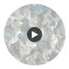 Foresta Ethereal/Parchment | Harlequin UK Circular Swatch | Harlequin
