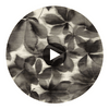 Grounded Black Earth/Parchment | Harlequin UK Circular Swatch | Harlequin