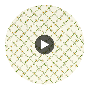 Daisy Trellis Emerald/Pearl | Harlequin UK Circular Swatch | Harlequin