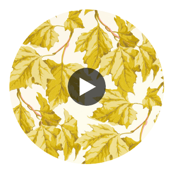 Dappled Leaf Citrine | Harlequin UK Circular Swatch | Harlequin