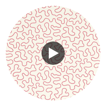 Wiggle Carnelian/Rose Quartz | Harlequin UK Circular Swatch | Harlequin