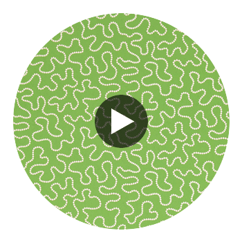 Wiggle Peridot/Rose Quartz | Harlequin UK Circular Swatch | Harlequin
