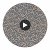 Coral Midnight | Harlequin UK Circular Swatch | Harlequin