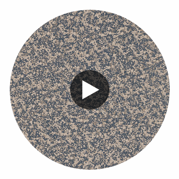 Coral Midnight | Harlequin UK Circular Swatch | Harlequin