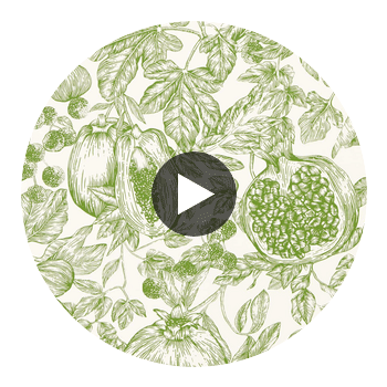 Melograno Forest/First Light | Harlequin UK Circular Swatch | Harlequin