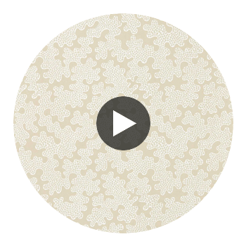 Zori Shiitake/Fig Blossom | Harlequin UK Circular Swatch | Harlequin