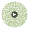 Zori Forest/First Light | Harlequin UK Circular Swatch | Harlequin