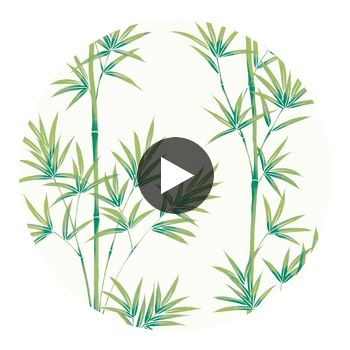 Isabella Porcelain/Bamboo | Harlequin UK Circular Swatch | Harlequin