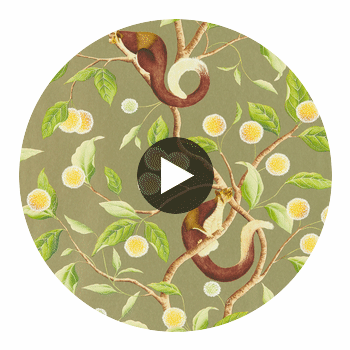 Nellie Gilver/Meadow | Harlequin UK Circular Swatch | Harlequin
