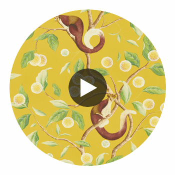 Nellie Honey/Meadow | Harlequin UK Circular Swatch | Harlequin
