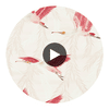 Valentina Blush/Blossom | Harlequin UK Circular Swatch | Harlequin