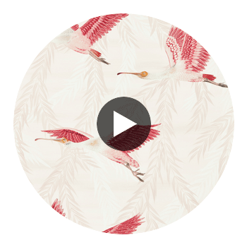 Valentina Blush/Blossom | Harlequin UK Circular Swatch | Harlequin