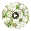Dahlia Sail Cloth/Meadow/Gilver | Harlequin UK Circular Swatch | Harlequin
