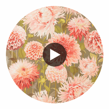 Dahlia Coral/Fig Leaf/Gilver | Harlequin UK Circular Swatch | Harlequin