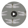 Demoiselle Firefly Graphite/Almond | Harlequin UK Circular Swatch | Harlequin