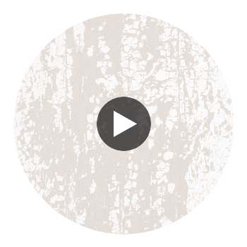 Eglomise Pearl | Harlequin UK Circular Swatch | Harlequin