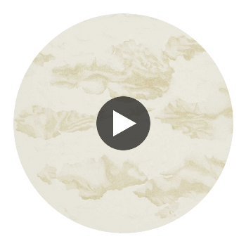 Nuvola Gold/Shell | Harlequin UK Circular Swatch | Harlequin
