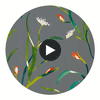 Saona Kiwi/Charcoal | Harlequin UK Circular Swatch | Harlequin