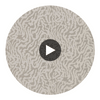 Seduire Oyster/Pearl | Harlequin UK Circular Swatch | Harlequin