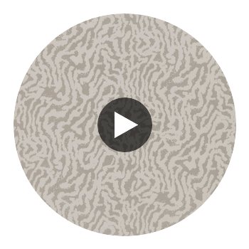 Seduire Oyster/Pearl | Harlequin UK Circular Swatch | Harlequin