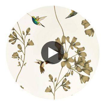 Amazilia Stone/Gold | Harlequin UK Circular Swatch | Harlequin