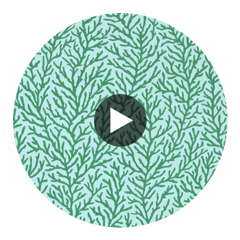 Atoll Seaglass/Emerald | Harlequin UK Circular Swatch | Harlequin