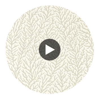 Atoll Awakening/Diffused Light | Harlequin UK Circular Swatch | Harlequin