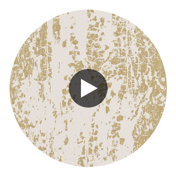 Eglomise Gold | Harlequin UK Circular Swatch | Harlequin