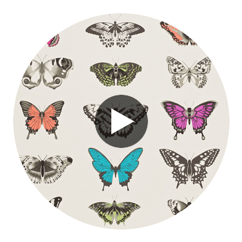 Papilio Flamingo / Papaya / Olive | Harlequin UK Circular Swatch | Harlequin