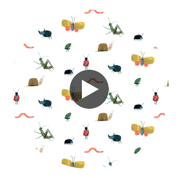 Garden Friends Poppy/Ochre/Leaf | Harlequin UK Circular Swatch | Harlequin