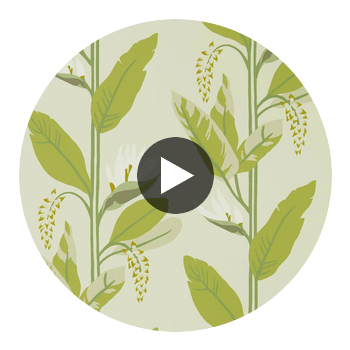 Llenya Lime/Jade/Pebble | Harlequin UK Circular Swatch | Harlequin
