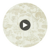 Shamwari Chalk/Gold | Harlequin UK Circular Swatch | Harlequin