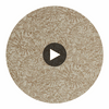 Anthology Ammonite Sandstone | Harlequin UK Circular Swatch | Harlequin