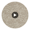 Anthology Ammonite Shell | Harlequin UK Circular Swatch | Harlequin