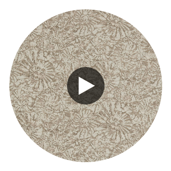 Anthology Ammonite Shell | Harlequin UK Circular Swatch | Harlequin