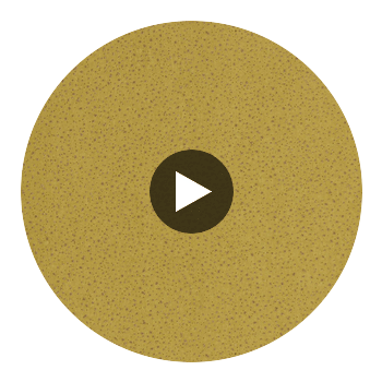 Anthology Foxy Citrus | Harlequin UK Circular Swatch | Harlequin