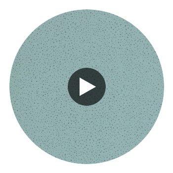 Anthology Foxy Blue Shell | Harlequin UK Circular Swatch | Harlequin