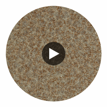 Anthology Kimberlite Urban Gold | Harlequin UK Circular Swatch | Harlequin