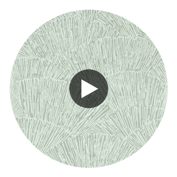 Tessen Titanium | Harlequin UK Circular Swatch | Harlequin