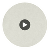 Commix Seal | Harlequin UK Circular Swatch | Harlequin