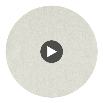 Commix Seal | Harlequin UK Circular Swatch | Harlequin