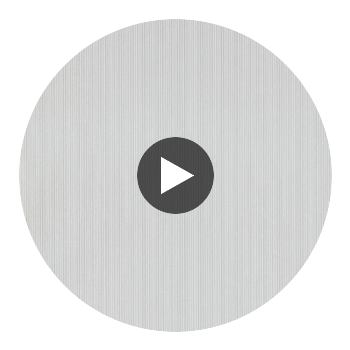 Perpetua Seal | Harlequin UK Circular Swatch | Harlequin