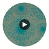 Anthology Perlite Crysocolla / Gold Ore | Harlequin UK Circular Swatch | Harlequin