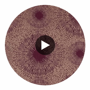Anthology Perlite Ruby / Antique Brass | Harlequin UK Circular Swatch | Harlequin