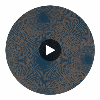 Anthology Perlite Lapis / Copper Ore | Harlequin UK Circular Swatch | Harlequin