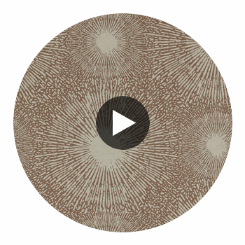 Anthology Perlite Concrete / Bronze Ore | Harlequin UK Circular Swatch | Harlequin