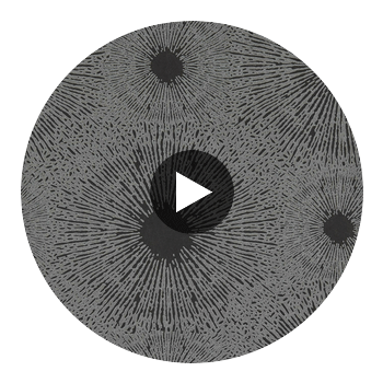Anthology Perlite Basalt / Quartz | Harlequin UK Circular Swatch | Harlequin